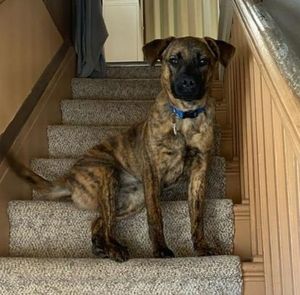 Meet your Posher, Tamie